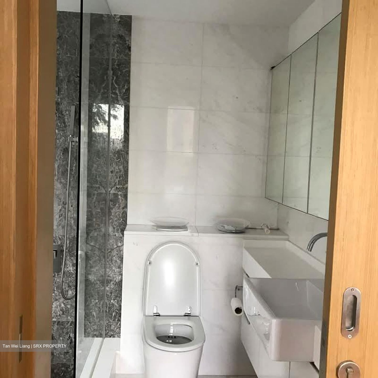 Ola Residences (D15), Condominium #582611071